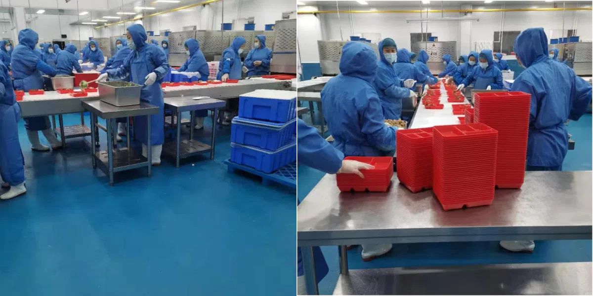 aquecedor de micro-ondas para refeições em caixa